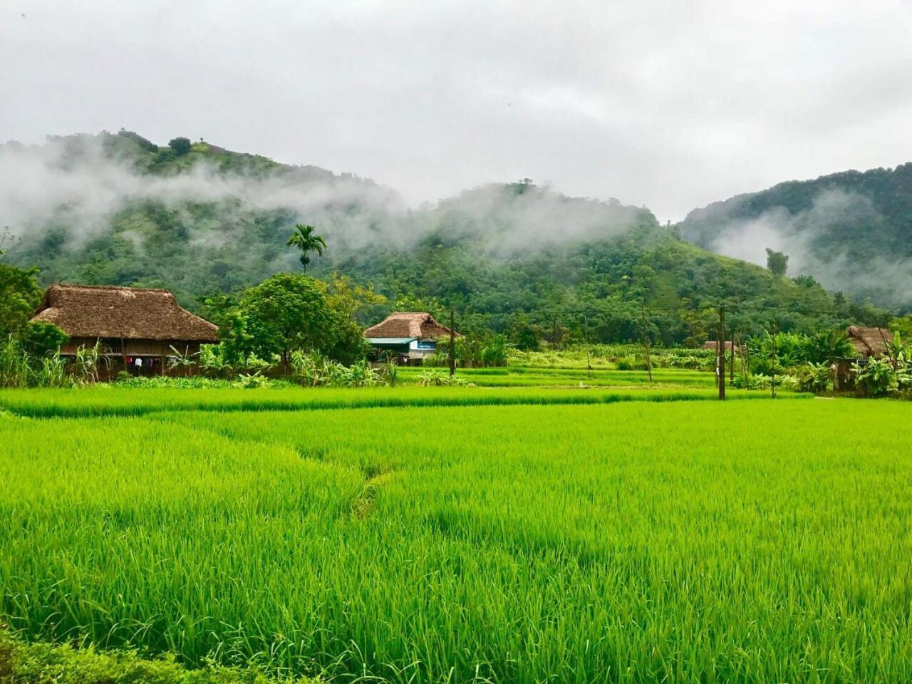 Xoi Farmstay - Eco Homestay Luc Yen Yen Bai Buitenkant foto