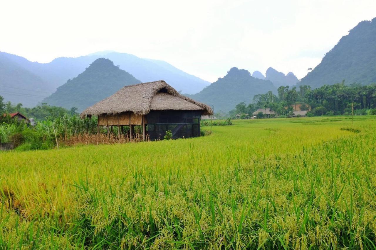 Xoi Farmstay - Eco Homestay Luc Yen Yen Bai Buitenkant foto