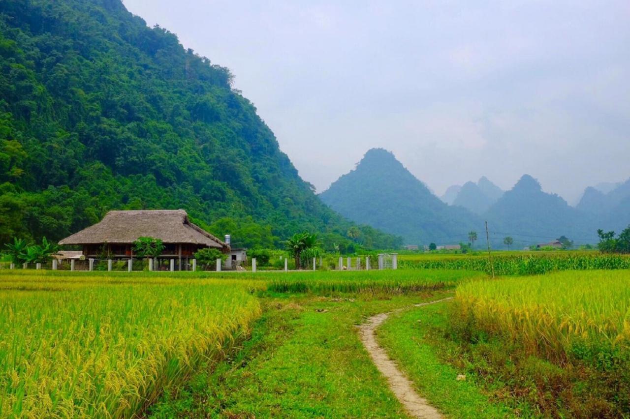 Xoi Farmstay - Eco Homestay Luc Yen Yen Bai Buitenkant foto