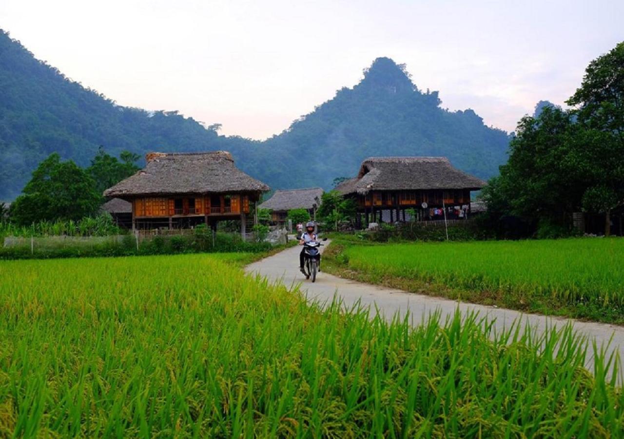 Xoi Farmstay - Eco Homestay Luc Yen Yen Bai Buitenkant foto