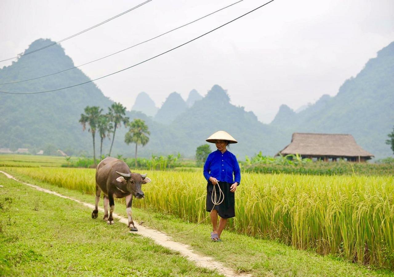 Xoi Farmstay - Eco Homestay Luc Yen Yen Bai Buitenkant foto