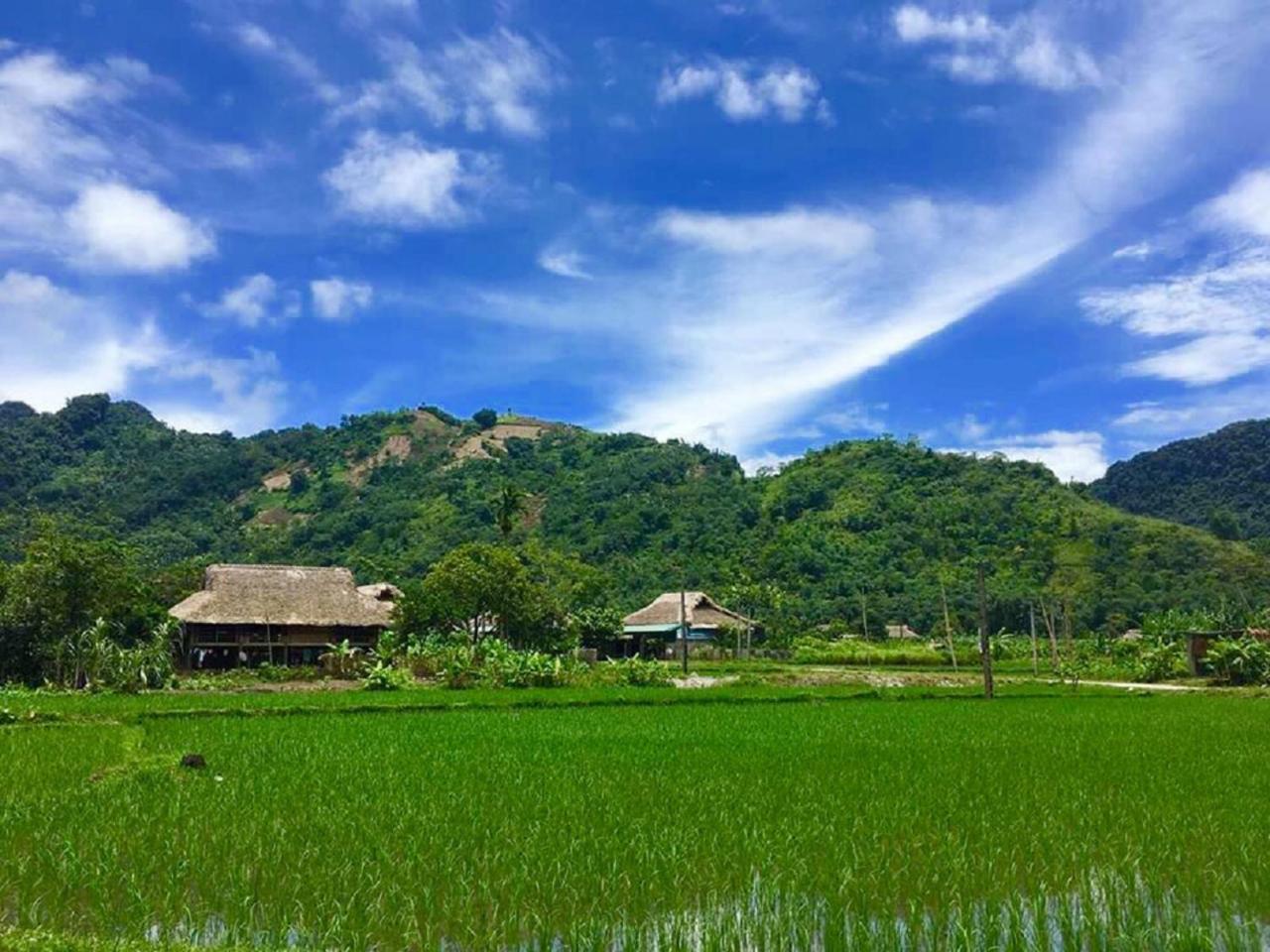 Xoi Farmstay - Eco Homestay Luc Yen Yen Bai Buitenkant foto